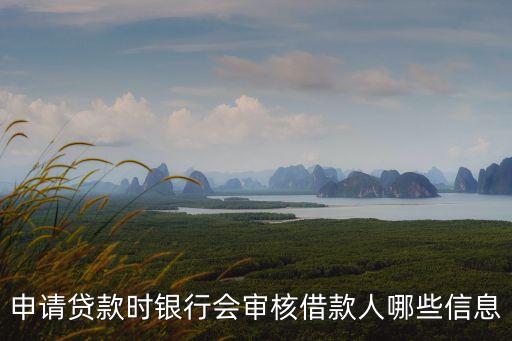 申請貸款時銀行會審核借款人哪些信息
