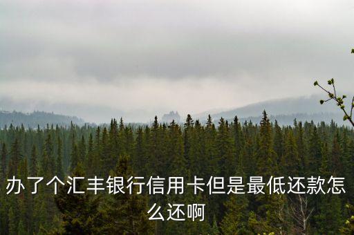 辦了個(gè)匯豐銀行信用卡但是最低還款怎么還啊