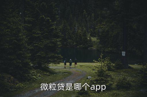 微粒貸是哪個app