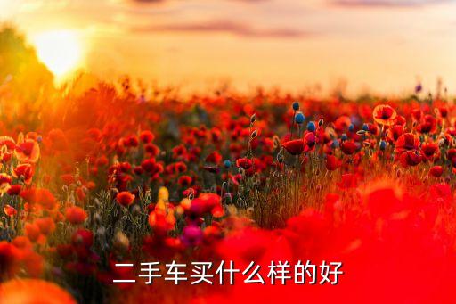 2017二手車買什么好，二手車買什么樣的車好