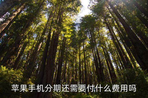 蘋(píng)果手機(jī)分期還需要付什么費(fèi)用嗎