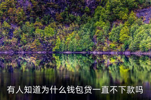 錢包貸為什么審核失敗原因，為什么申請馬蜂錢包網(wǎng)貸總是被拒