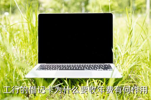 工行的借記卡為什么要收年費(fèi)有何作用