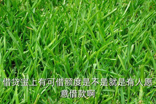 借貸寶借款額度是什么意思，借貸寶借款額度是多少