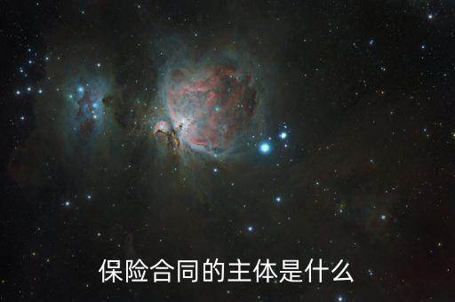 保險合同的主體是什么