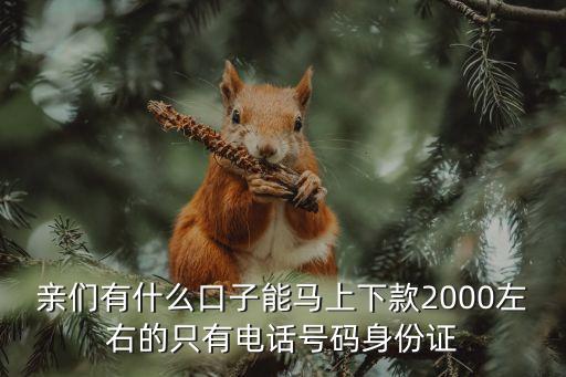 有什么秒下2000的口子，有沒有網(wǎng)貸可以貸款2000的當(dāng)天下款的無工作