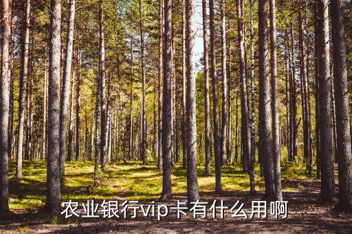 農(nóng)業(yè)銀行vip卡有什么用啊