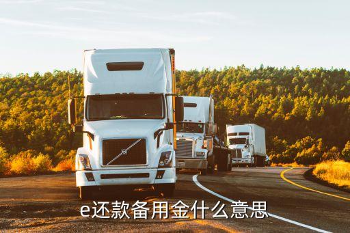 e還款備用金什么意思