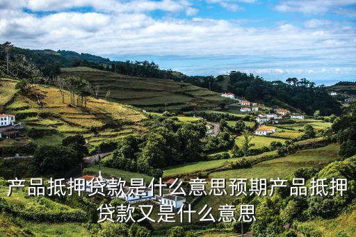 抵押貸款是什么意思，房產(chǎn)抵押貸款是什么意思