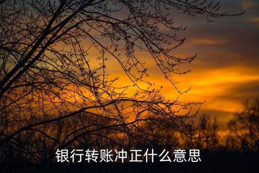 銀行轉(zhuǎn)賬沖正什么意思