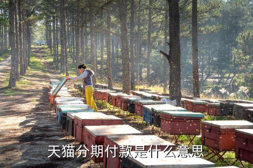 天貓分期付款是什么意思