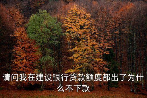 請問我在建設(shè)銀行貸款額度都出了為什么不下款