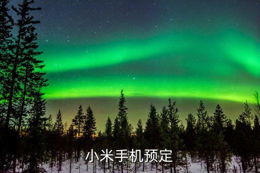 攜程電子卡是什么意思，小米手機預(yù)定