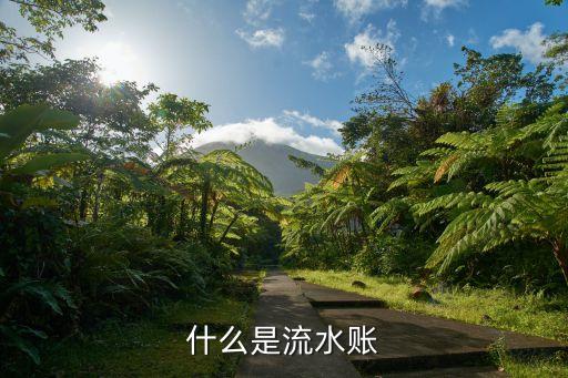 什么是流水賬