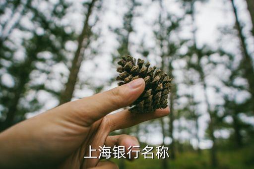 上海銀行全稱是什么，上海銀行英文全稱