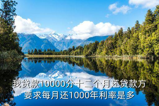 我貸款10000分十二個月還貸款方要求每月還1000年利率是多