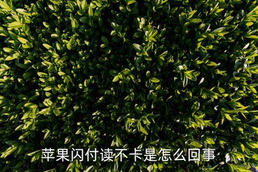 蘋(píng)果閃付讀不卡是怎么回事