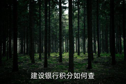 建設(shè)銀行積分如何查