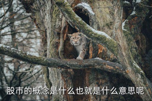 股市的概念是什么也就是什么意思呢