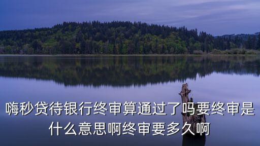 貸款終審是什么意思，小額貸款一直顯示終審不批什么意思嗎