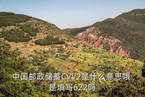 中國郵政儲蓄CVV2是什么意思哦 是填寫622嗎