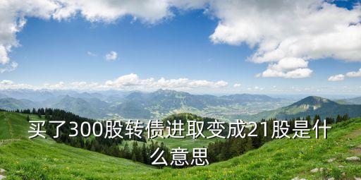 買了300股轉(zhuǎn)債進(jìn)取變成21股是什么意思