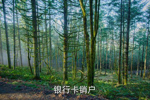 銀行清理沉睡賬戶什么意思，清戶 銷戶 區(qū)別
