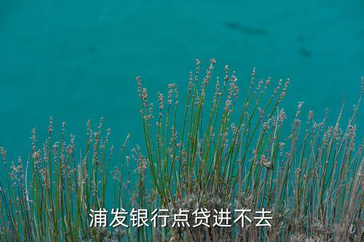 浦發(fā)銀行點(diǎn)貸進(jìn)不去
