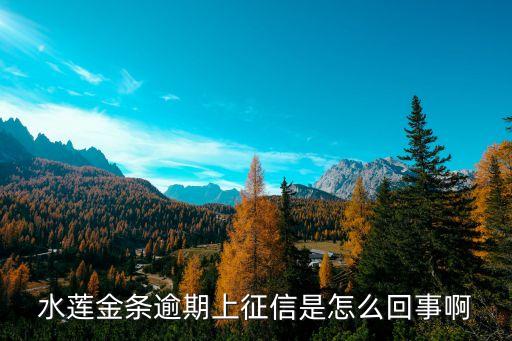 水蓮金條逾期上征信是怎么回事啊