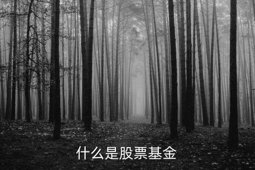 什么是股票基金，什么是股票基金