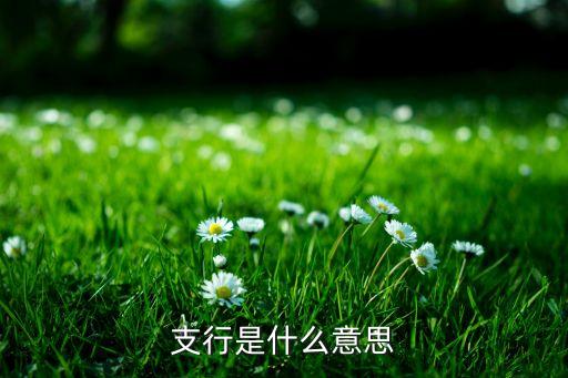 支金銀行表示什么意思，支行是什么意思