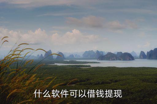 套現(xiàn)用什么，可以提現(xiàn)的app有哪些