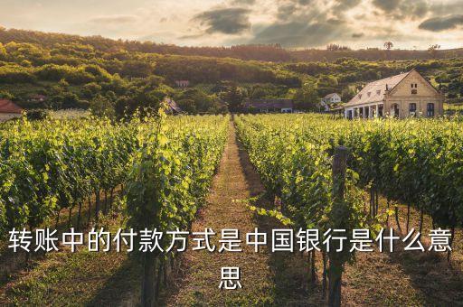 中國(guó)銀行是什么意思，轉(zhuǎn)賬中的付款方式是中國(guó)銀行是什么意思