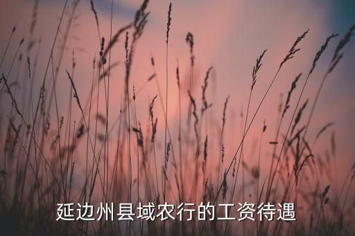 農(nóng)行完成工資什么，延邊州縣域農(nóng)行的工資待遇