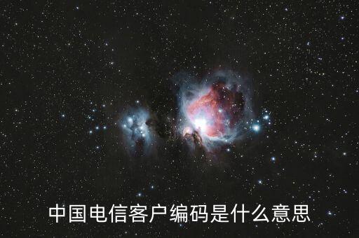 中國(guó)電信客戶編碼是什么意思