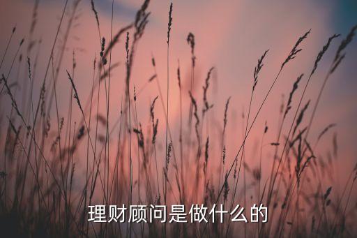 理財(cái)顧問是做什么的