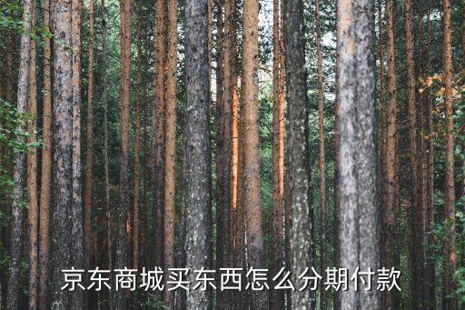 京東怎么樣可以分期付款，京東怎樣分期付款