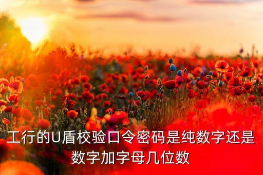 工行的U盾校驗(yàn)口令密碼是純數(shù)字還是數(shù)字加字母幾位數(shù)