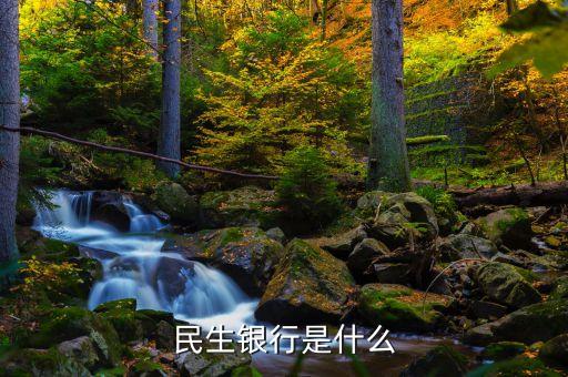 民生銀行是什么