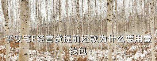 平安宅E經(jīng)營(yíng)貸提前還款為什么要用壹錢(qián)包