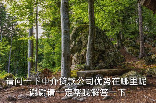 請問一下中介貸款公司優(yōu)勢在哪里呢 謝謝請一定幫我解答一下