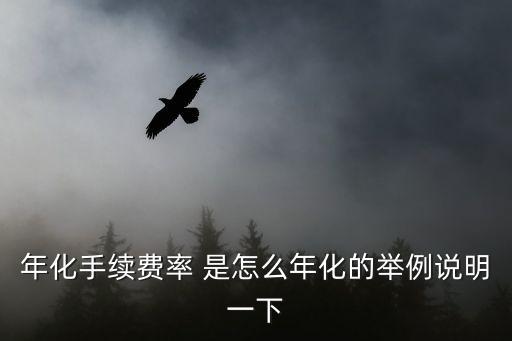 年化手續(xù)費率是什么，您好信用卡中的年費率是什么意思