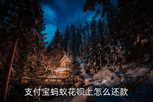 支付寶螞蟻花唄上怎么還款