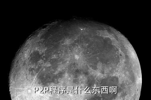 p2p指什么，P2P程序是什么東西啊