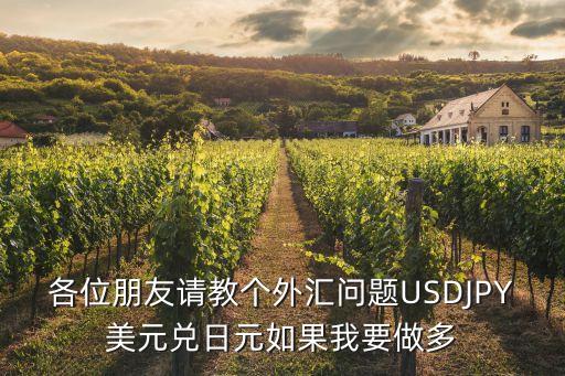各位朋友請教個(gè)外匯問題USDJPY美元兌日元如果我要做多
