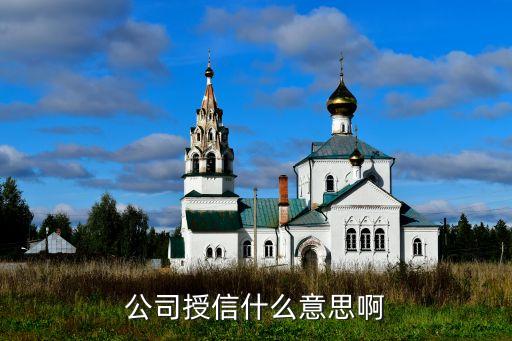 公司授信什么意思啊
