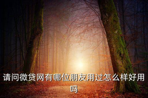 請(qǐng)問微貸網(wǎng)有哪位朋友用過怎么樣好用嗎