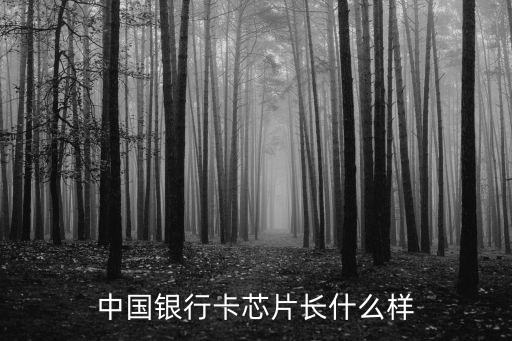 銀行卡芯片是什么樣，綠色郵政銀行卡 芯片是什么樣子的