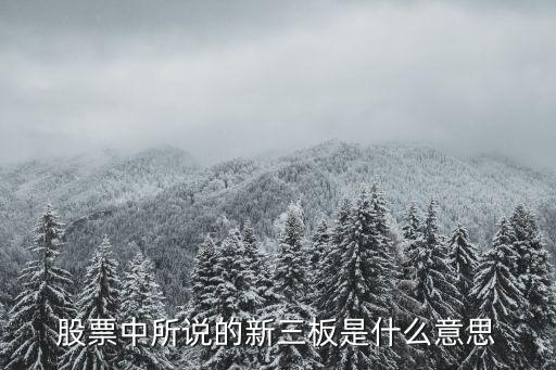 股票中所說的新三板是什么意思