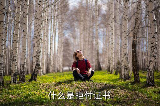 什么是拒付，什么是拒付證書